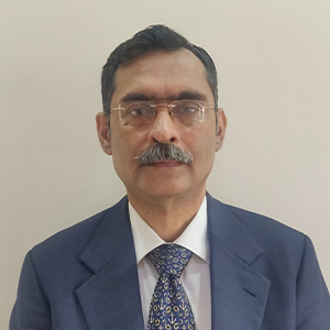 Sanjeev V Mehra